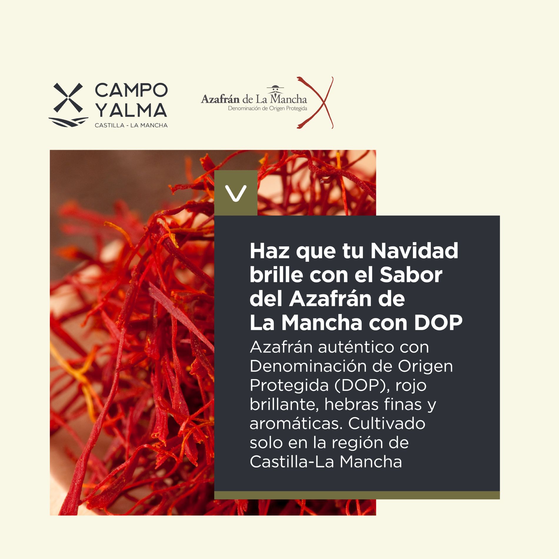 Azafrn de la Mancha