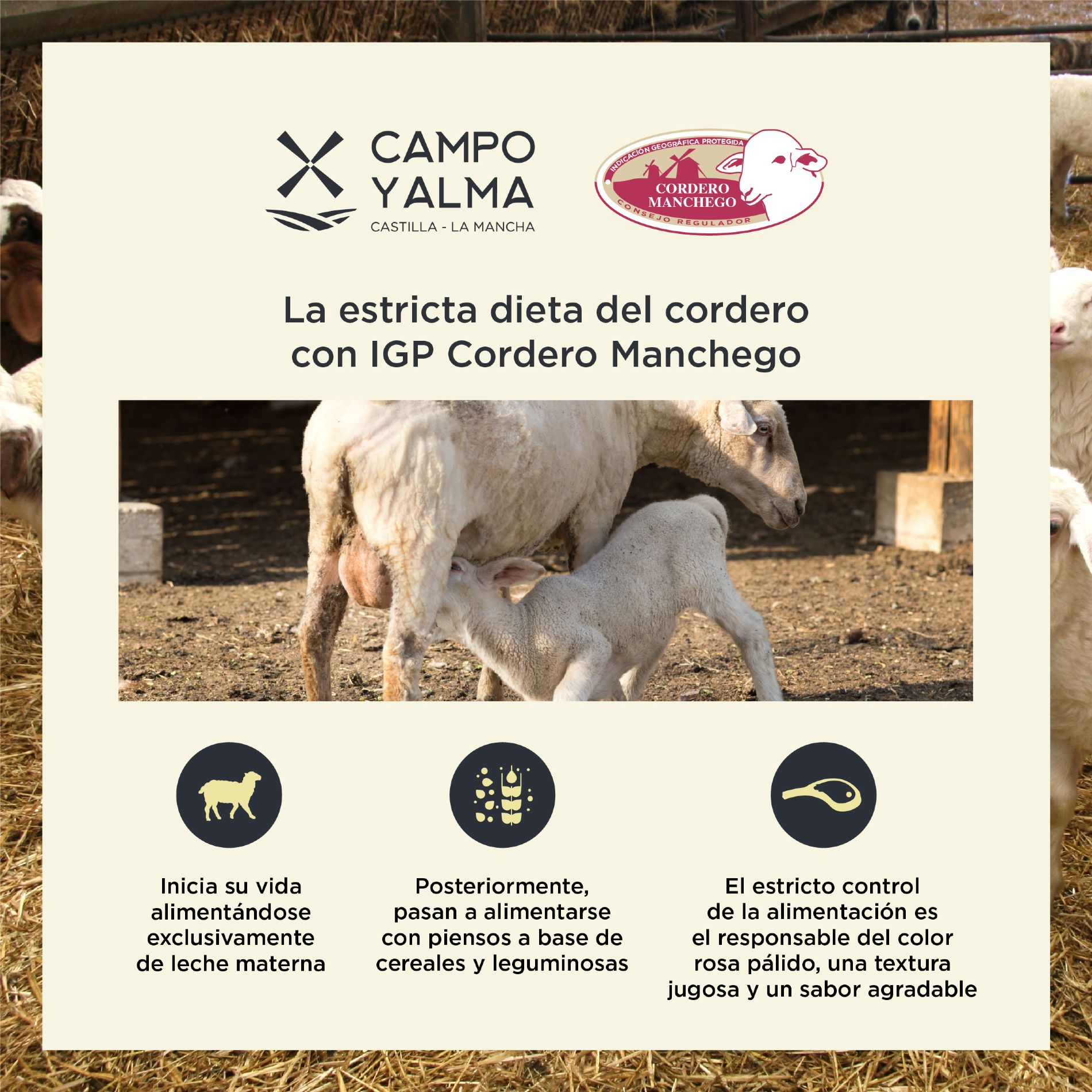IGP Cordero Manchego