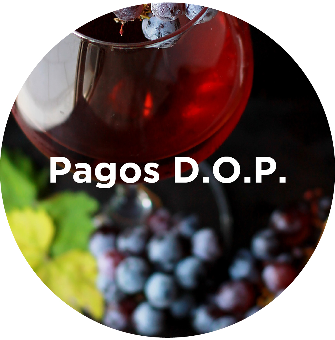 vinos de pago de castilla la mancha