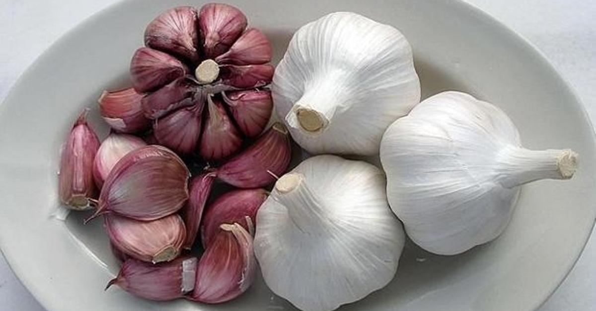 ajo morado de las Pedroeras