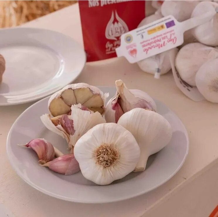 Ajo Morado de las Pedroeras
