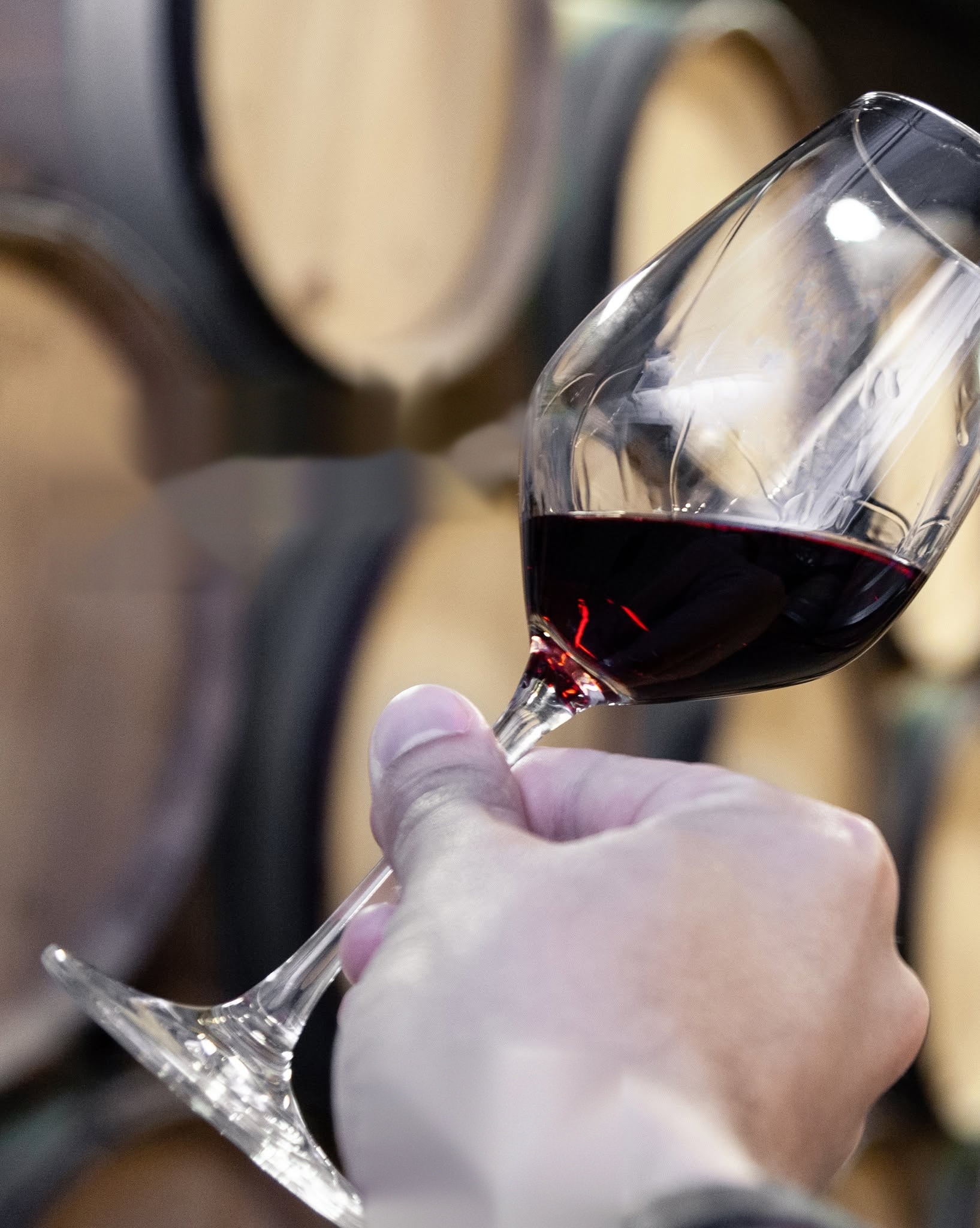 �Qu� vino abres este agosto? Los blancos y rosados con DO La Mancha